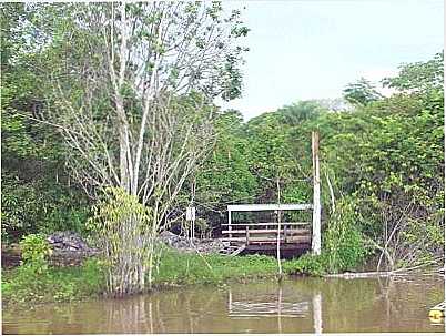 PARQUE ECOLGICO, POR PEDRO MENDONA CABRAL - TUCURU - PA